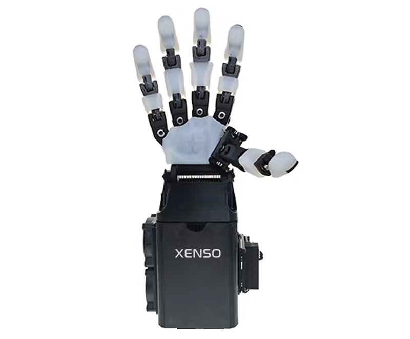 La Mano Xeson